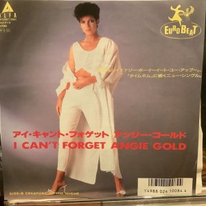 画像1: Angie Gold / I Can't Forget