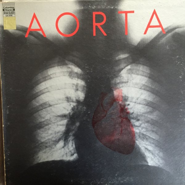 画像1: Aorta / Aorta (1)