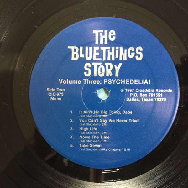 画像3: The Bluethings / The Bluethings Story Vol. 2 (1965-66) (3)