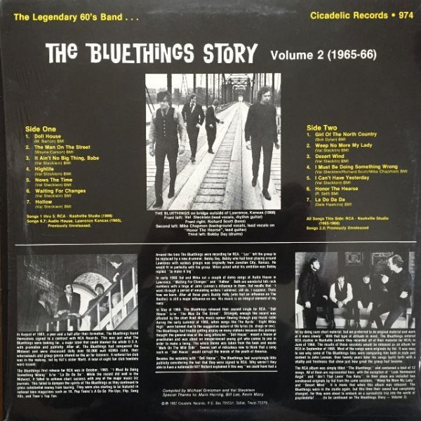 画像2: The Bluethings / The Bluethings Story Vol. 2 (1965-66) (2)