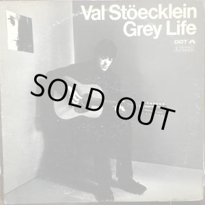 画像: Val Stöecklein (ex - The Bluethings) / Grey Life