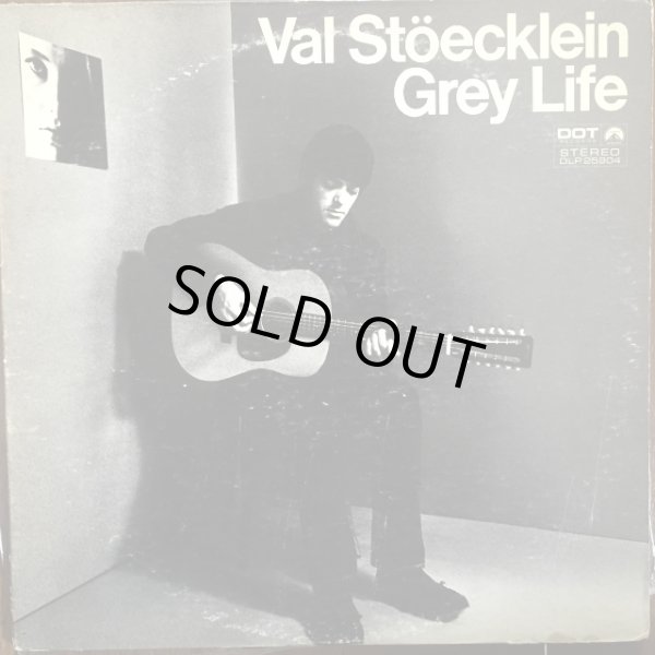画像1: Val Stöecklein (ex - The Bluethings) / Grey Life (1)