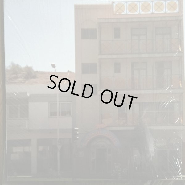 画像1: The Red Krayola / Coconut Hotel (1)