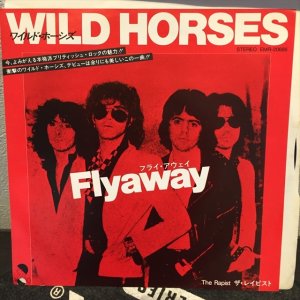 画像: Wild Horses / Flyaway