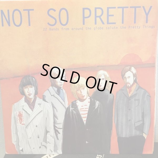 画像1: VA / Not So Pretty (1)