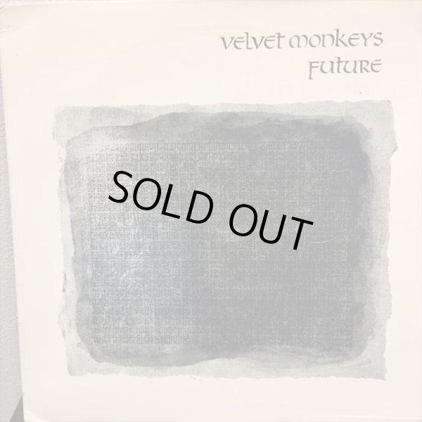 画像1: Velvet Monkeys / Future (1)