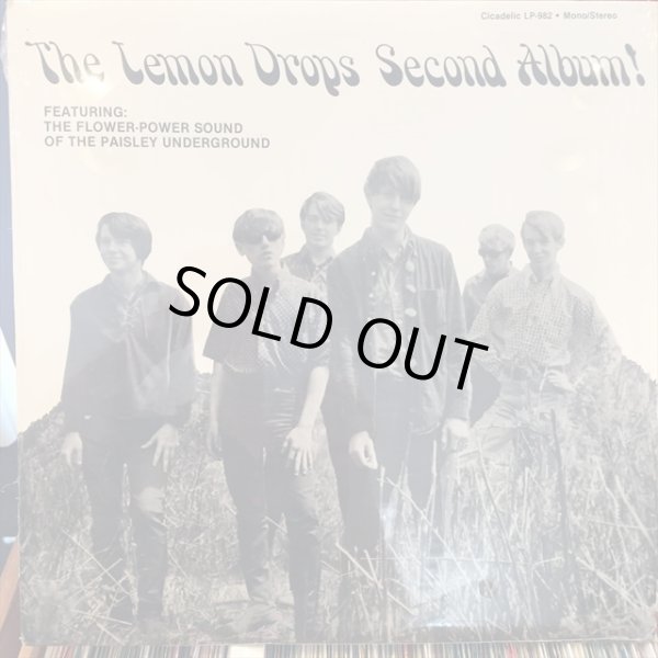 画像1: The Lemon Drops / The Lemon Drops Second Album! (1)