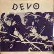 画像1: Devo / Innocent Spuds (The Mabuhay Tapes) (1)