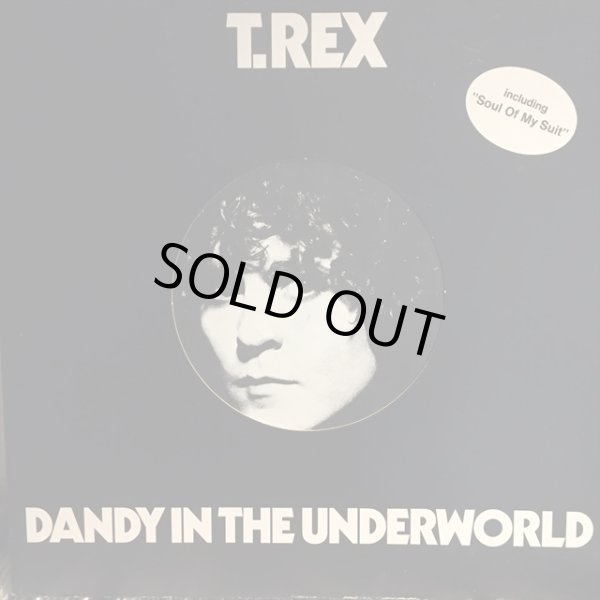画像1: T. Rex / Dandy In The Underworld (1)
