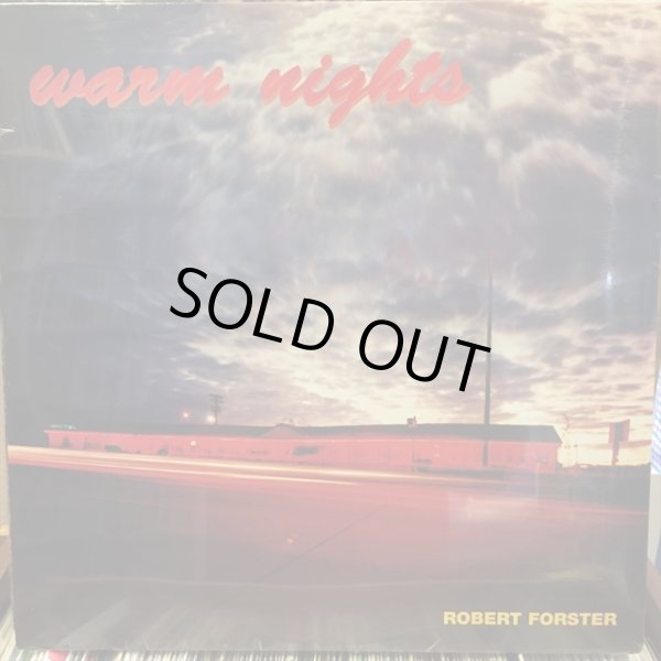 画像1: Robert Forster / Warm Nights (1)