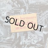 画像: The Hormones / Mr. Wilson