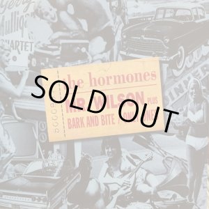 画像: The Hormones / Mr. Wilson