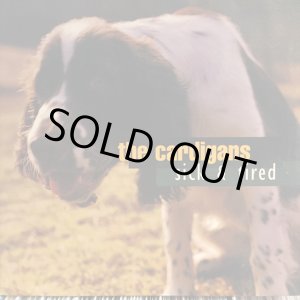 画像: The Cardigans / Sick And Tired