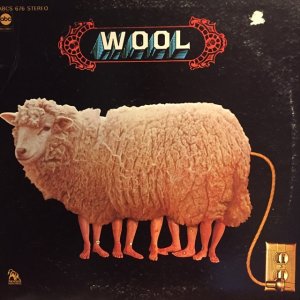 画像: Wool / Wool