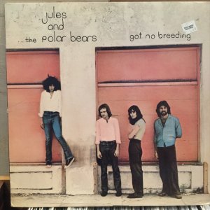 画像: Jules And The Polar Bears / Got No Breeding