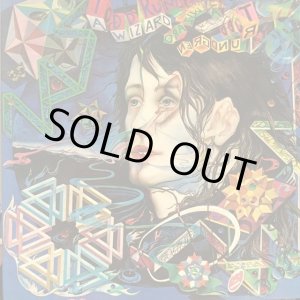 画像: Todd Rundgren / A Wizard, A True Star