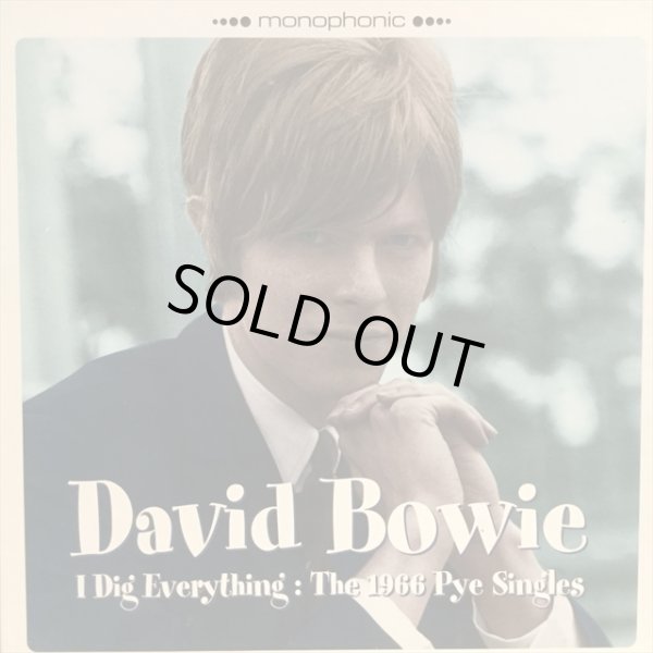 画像1: David Bowie / I Dig Everything (1)