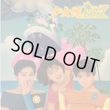 画像: 少女隊 / 少女隊フラミンゴ・アイランド