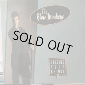 画像: The Blow Monkeys / Digging Your Re-Mix