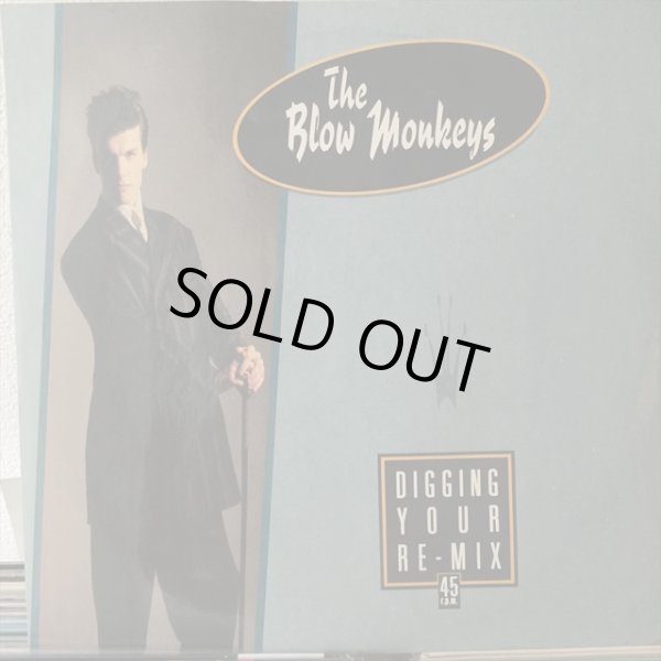 画像1: The Blow Monkeys / Digging Your Re-Mix (1)