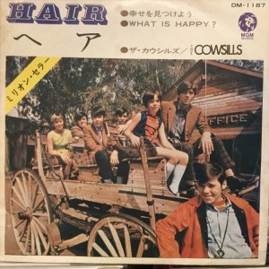 画像: The Cowsills / Hair