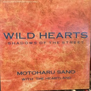 画像: 佐野元春 / Wild Hearts