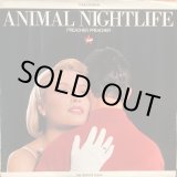 画像: Animal Nightlife / Preacher, Preacher