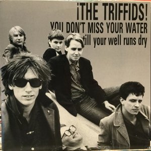 画像: The Triffids / You Don't Miss Your Water Till Your Well Runs Dry