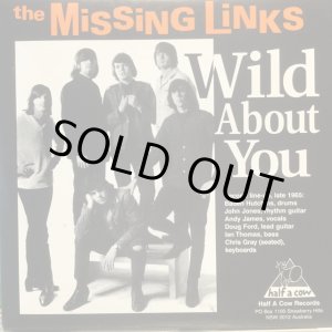 画像: The Missing Links / Wild About You