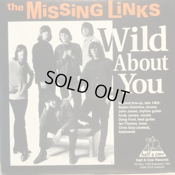 画像1: The Missing Links / Wild About You (1)