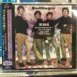 画像1: Badfinger / The Ivey's Anthology : Vol. 1 (1)