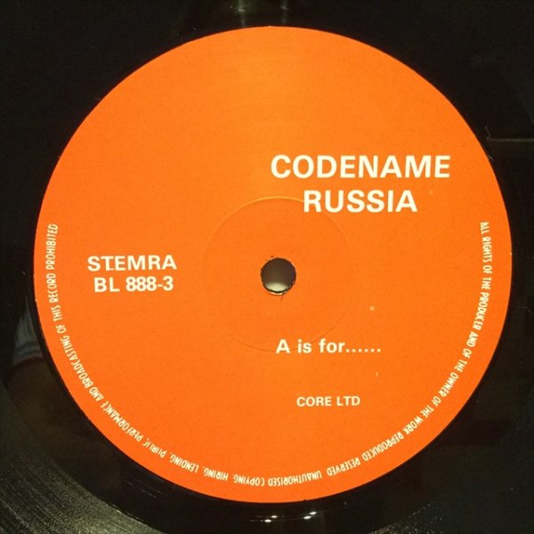 画像2: The Beatles / Codename Russia (2)