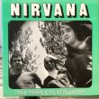 画像1: Nirvana / The Triple Platinum EP (1)