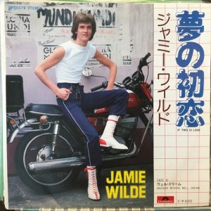 画像: Jamie Wilde / If This Is Love