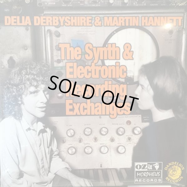 画像1: Delia Derbyshire & Martin Hannett / The Synth And Electronic Recording Exchanges (1)