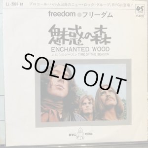 画像: Freedom / Enchanted Wood