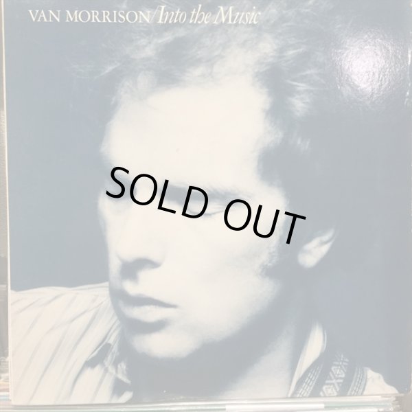 画像1: Van Morrison / Into The Music (1)