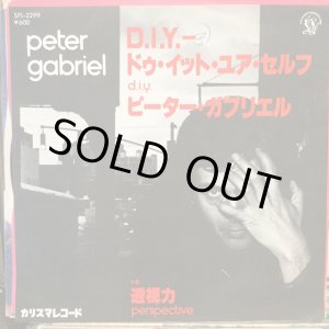 画像: Peter Gabriel / D.I.Y. 