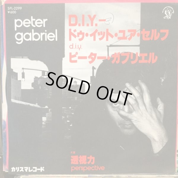 画像1: Peter Gabriel / D.I.Y.  (1)