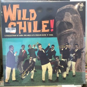 画像: VA / Wild Chile !