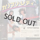 画像: スーパー・パンプキン / カリプソ・レディ