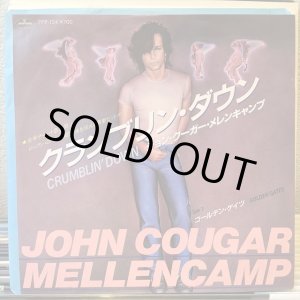 画像: John Cougar Mellencamp / Crumblin' Down