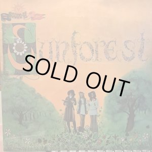 画像: Sunforest / Sound Of Sunforest