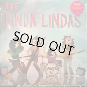 画像: The Linda Lindas / Growing Up