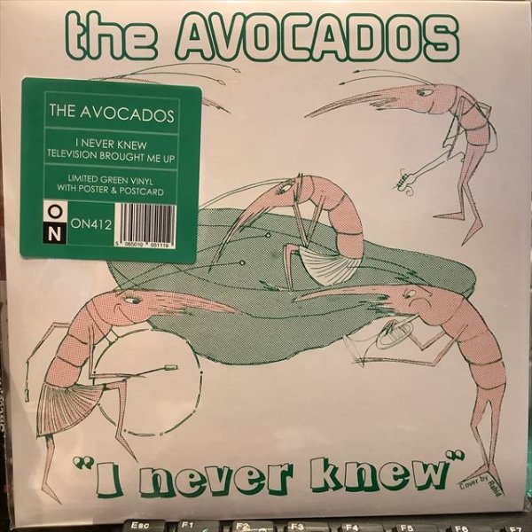 画像1: The Avocados / I Never Knew (1)