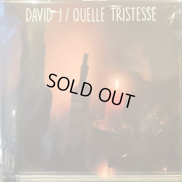 画像1: David J / Quelle Tristesse (1)