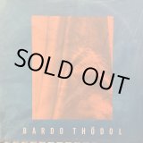 画像: バルド・ソドル / Bardo Thödol