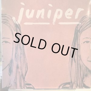 画像: Juniper / Juniper