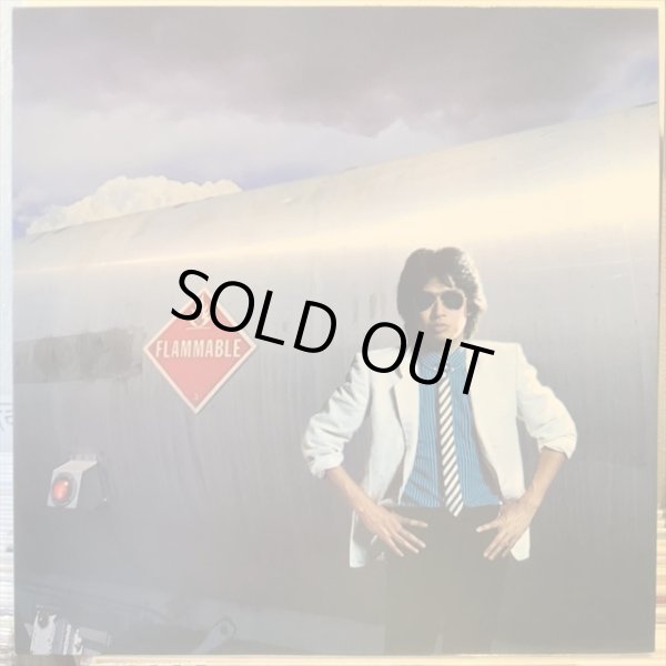 画像1: 浜田省吾 / 約束の地  (1)