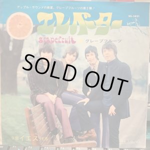 画像: Grapefruit / Elevator